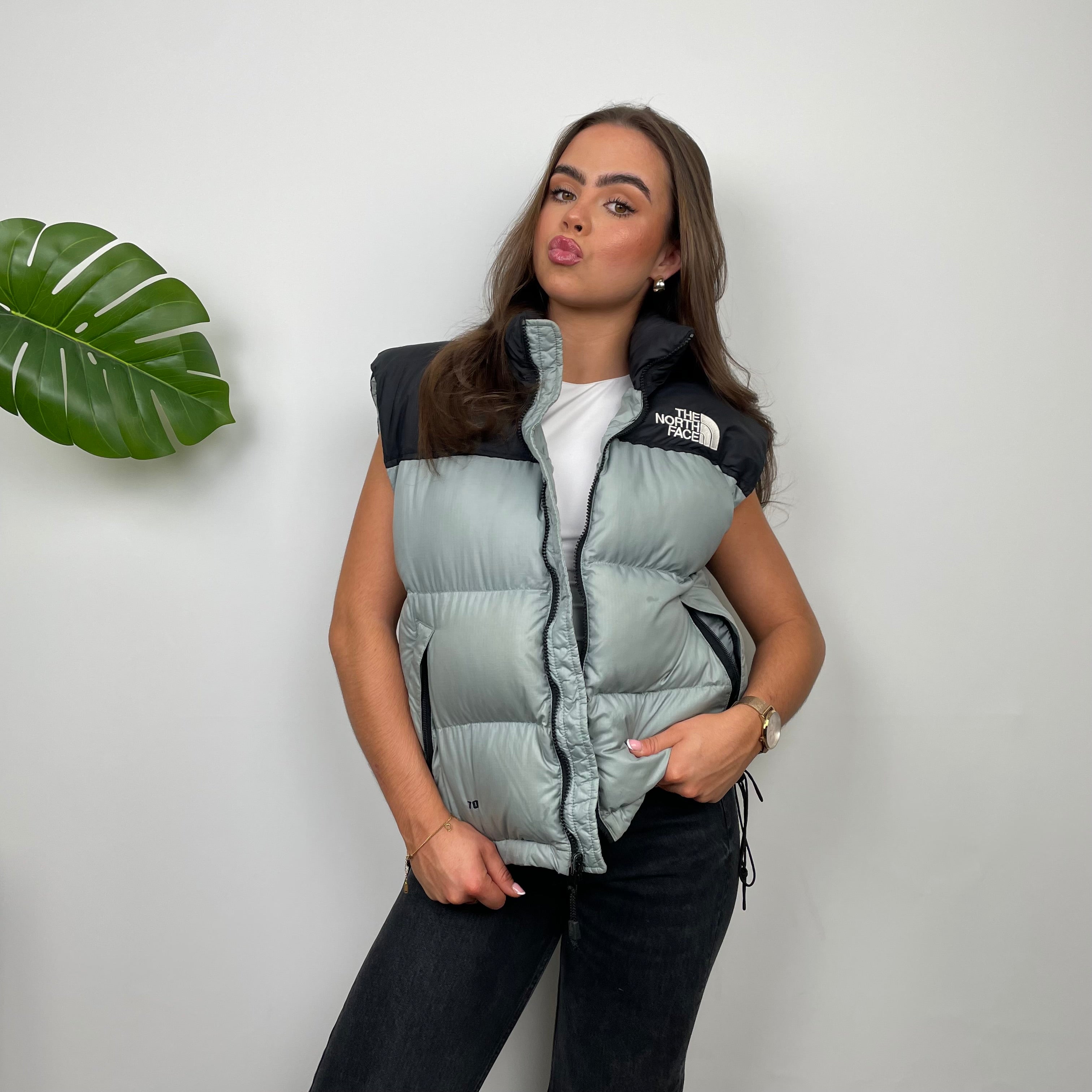 The North Face Grey Nuptse 700 Puffer Gilet (S)