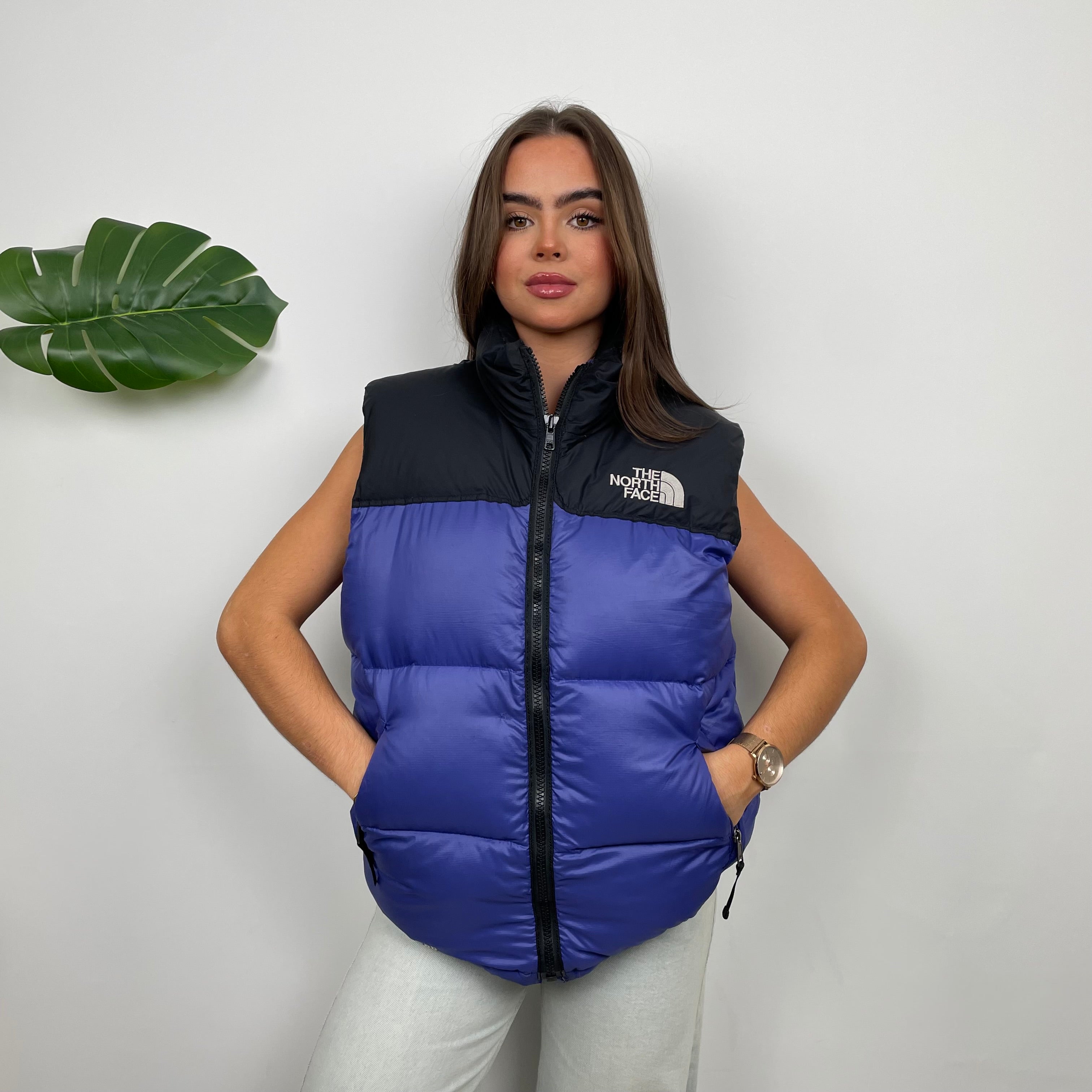 North Face RARE Blue Nuptse 700 Puffer Gilet (M)