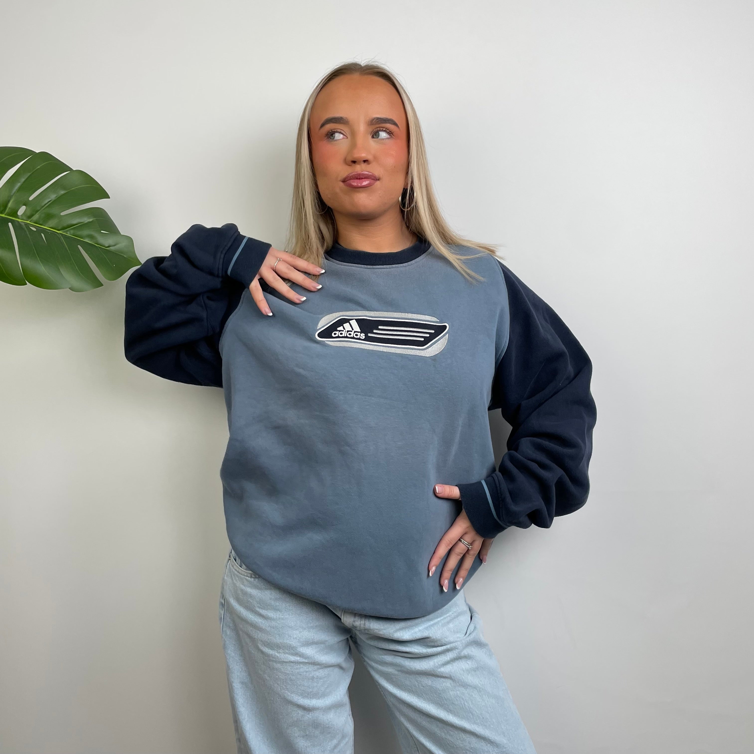 Adidas Baby Blue Embroidered Spell Out Sweatshirt (L)