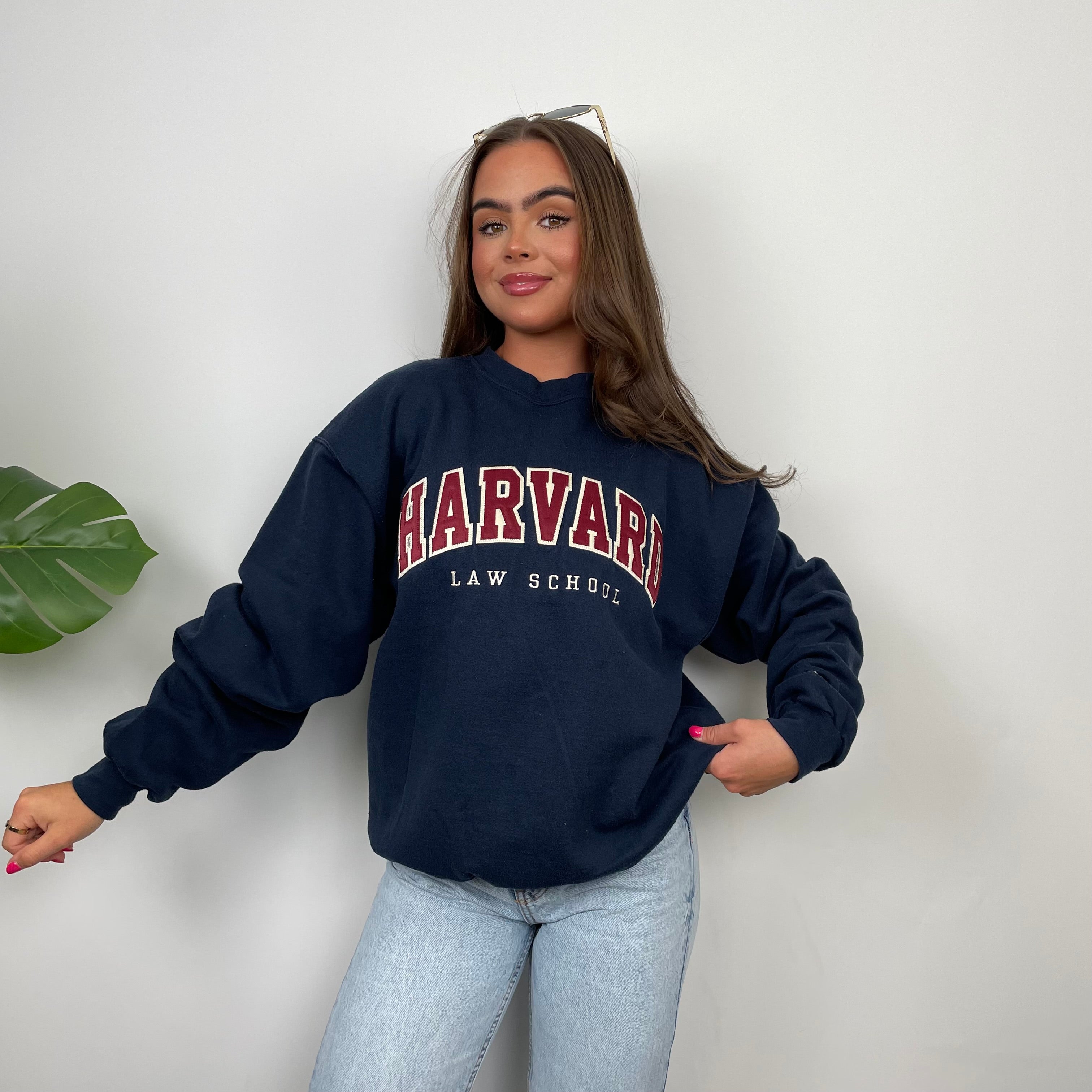 Champion x Harvard Law School RARE Navy Embroidered Spell Out Sweatshirt (S)