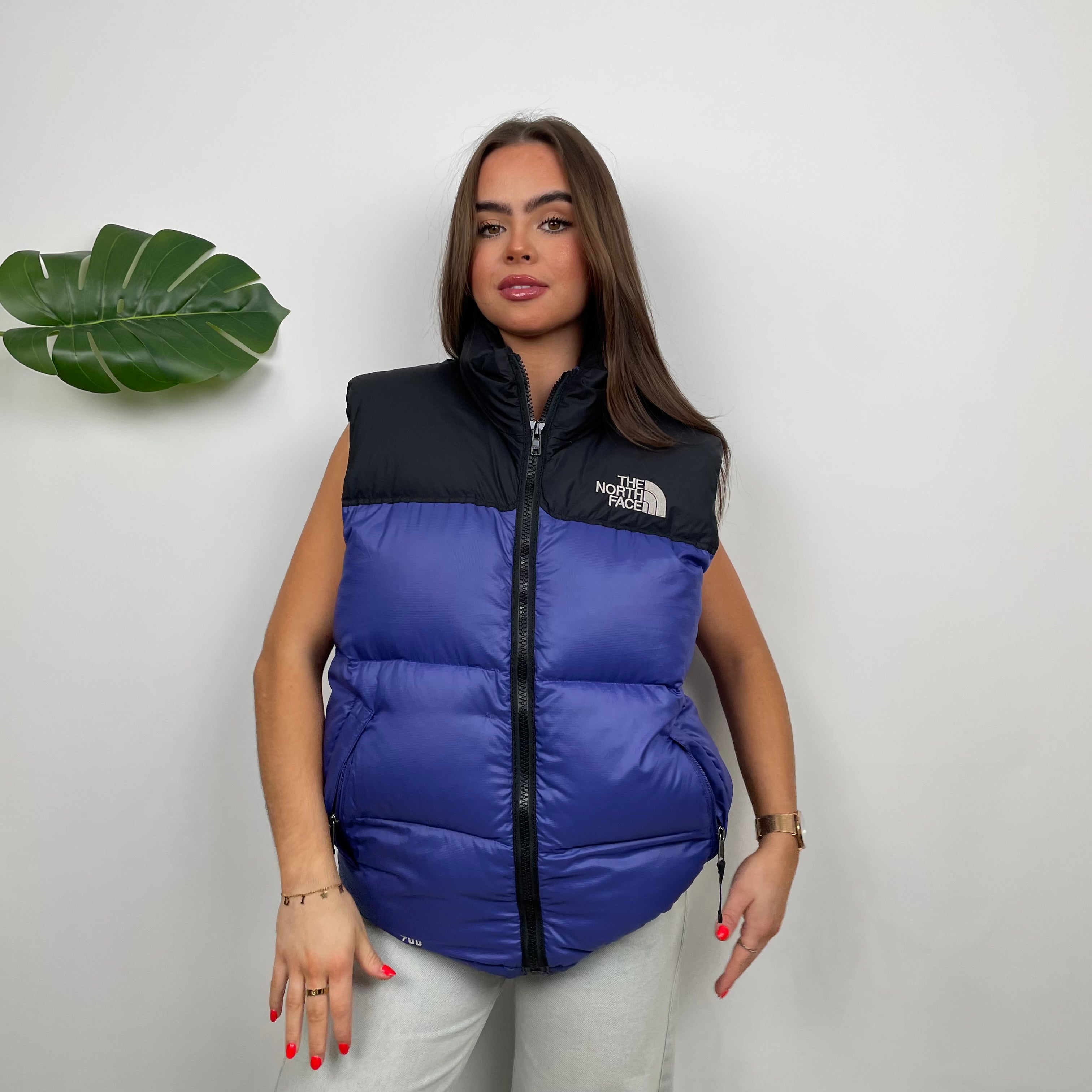 North Face RARE Blue Nuptse 700 Puffer Gilet (M)