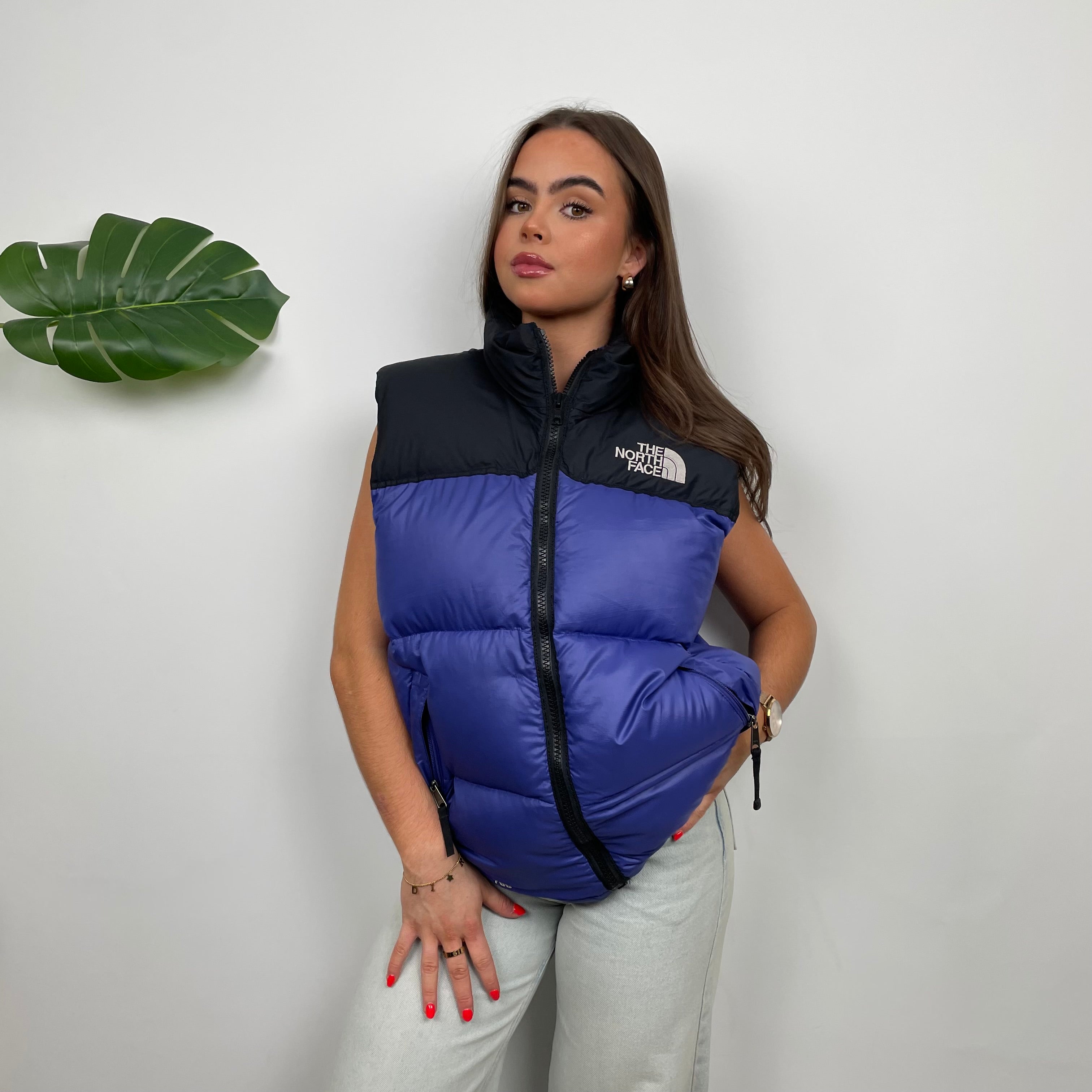 North Face RARE Blue Nuptse 700 Puffer Gilet (M)