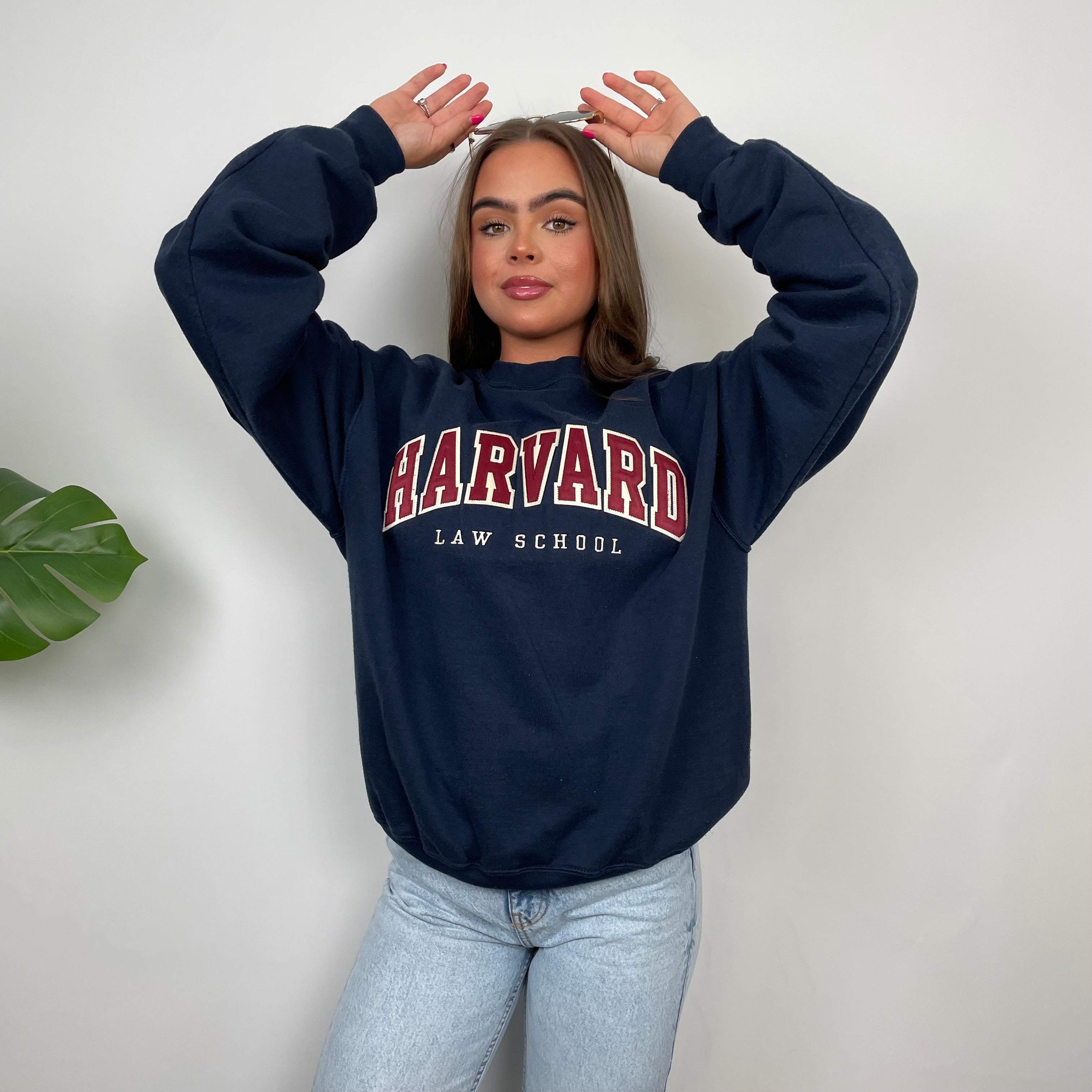 Champion x Harvard Law School RARE Navy Embroidered Spell Out Sweatshirt (S)