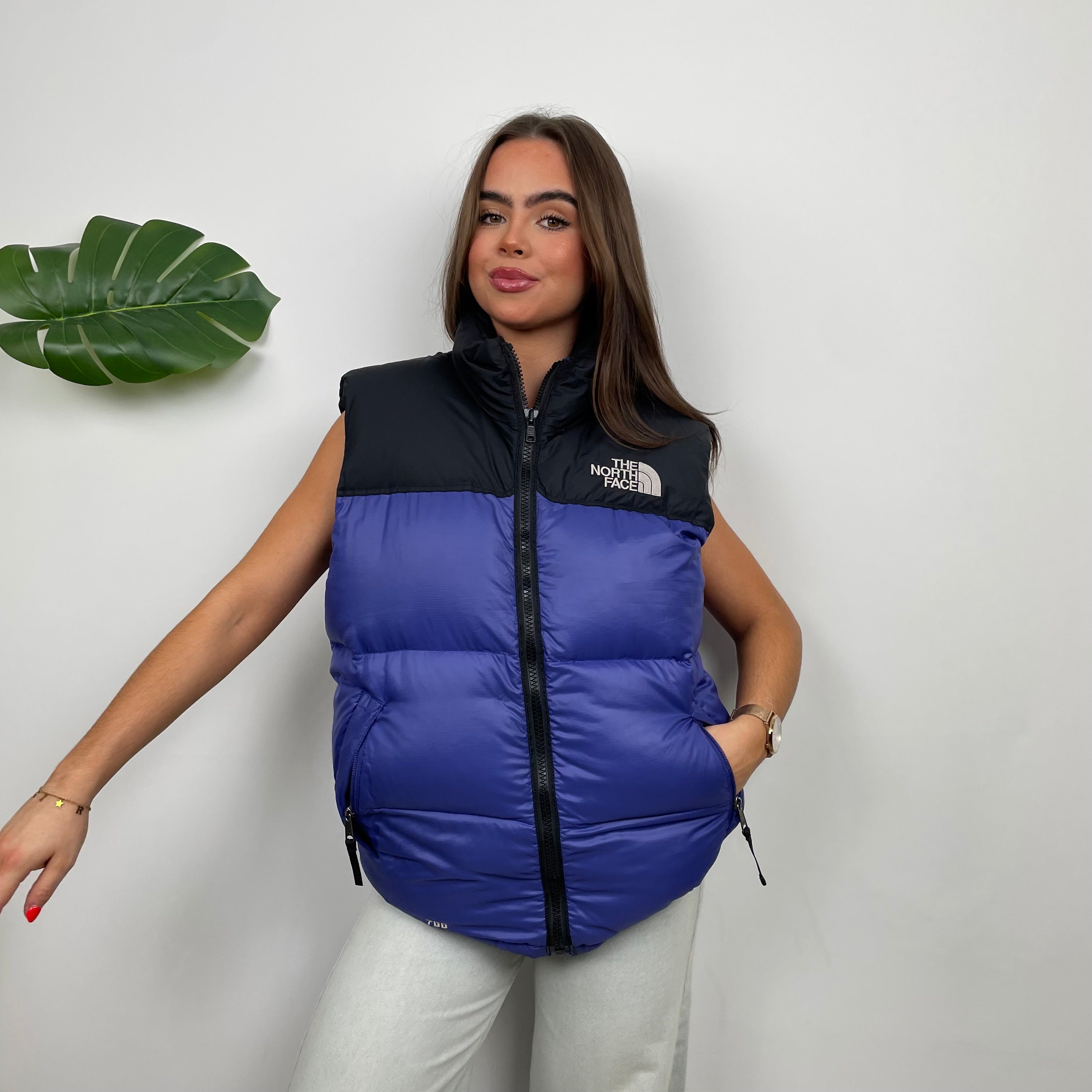 North Face RARE Blue Nuptse 700 Puffer Gilet (M)