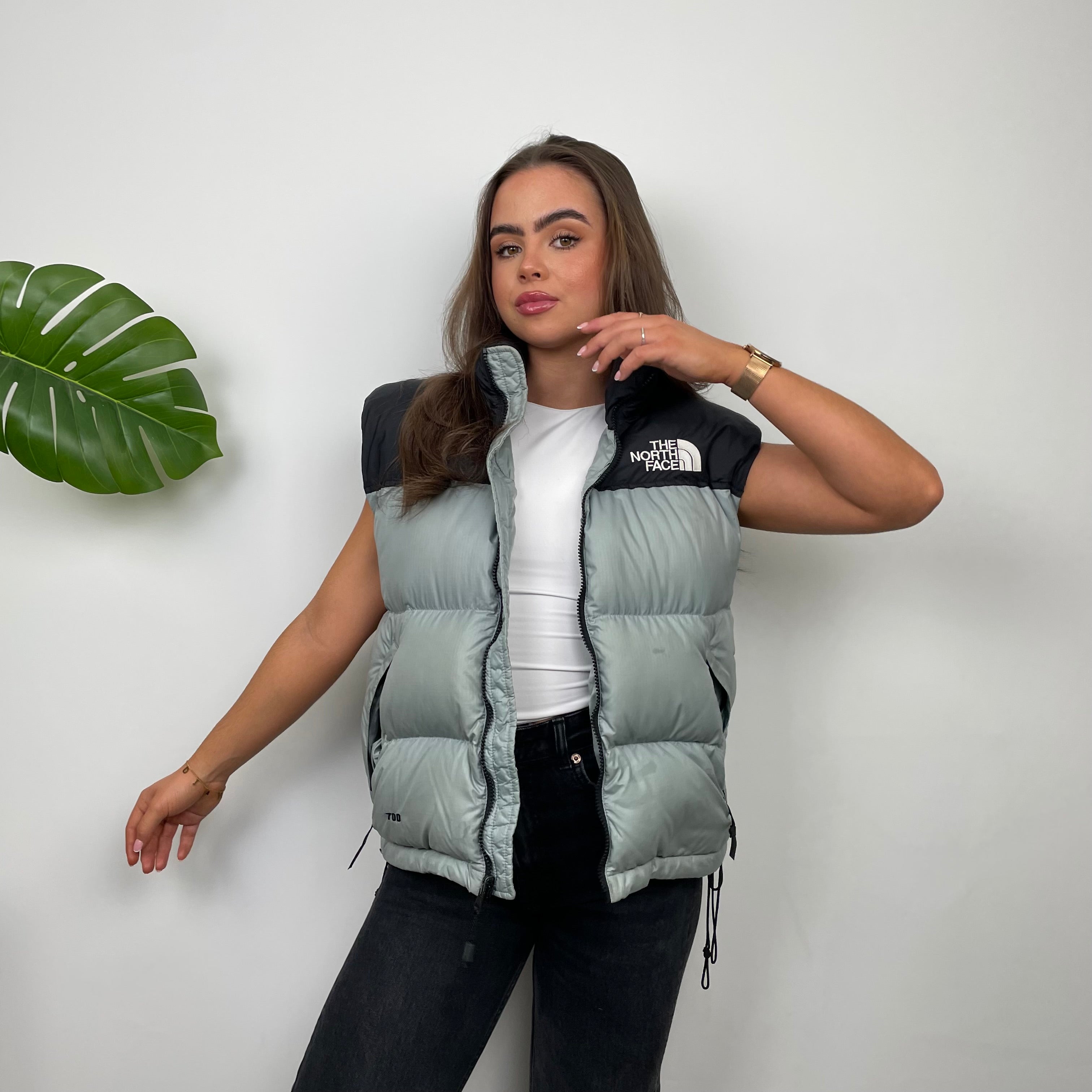 The North Face Grey Nuptse 700 Puffer Gilet (S)