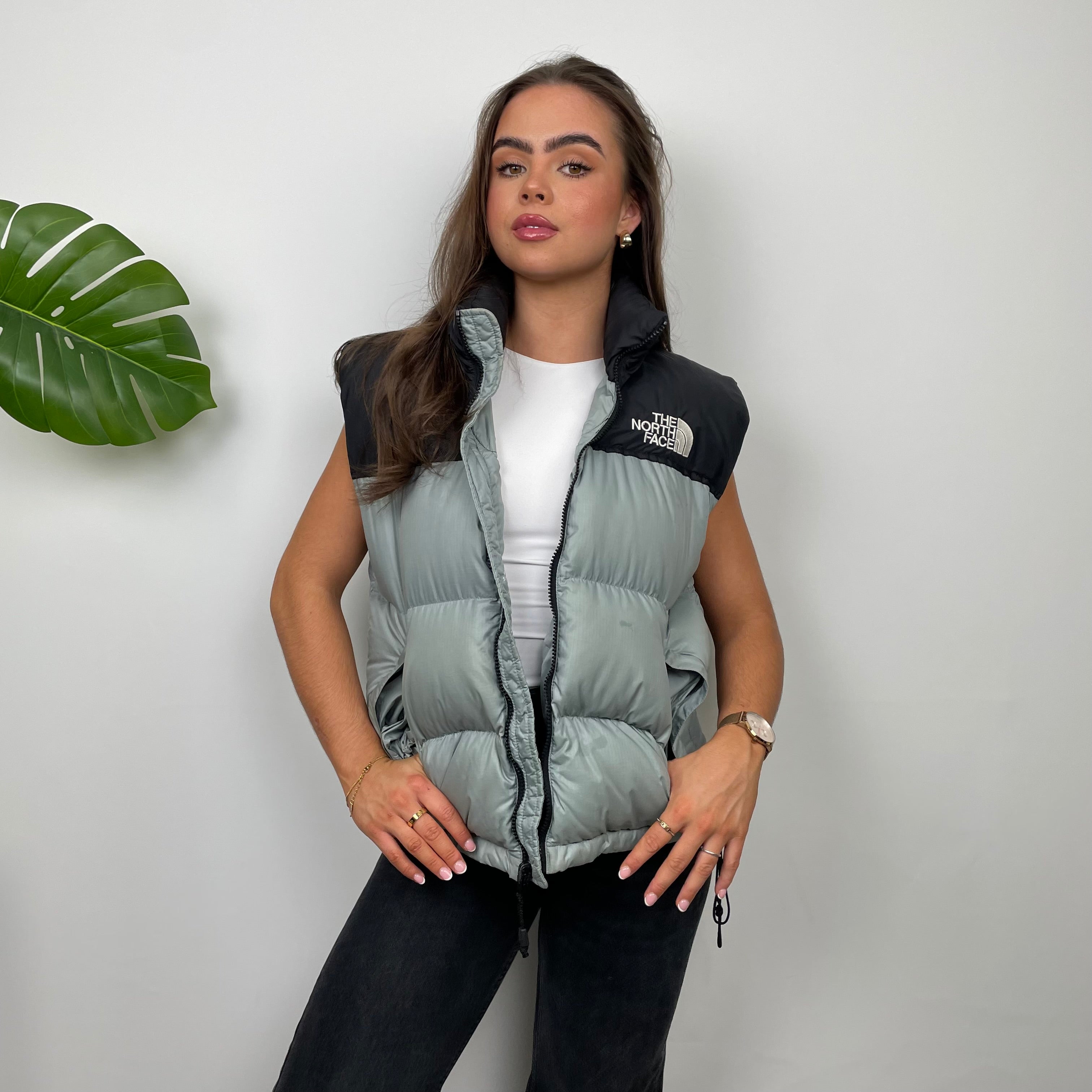 The North Face Grey Nuptse 700 Puffer Gilet (S)