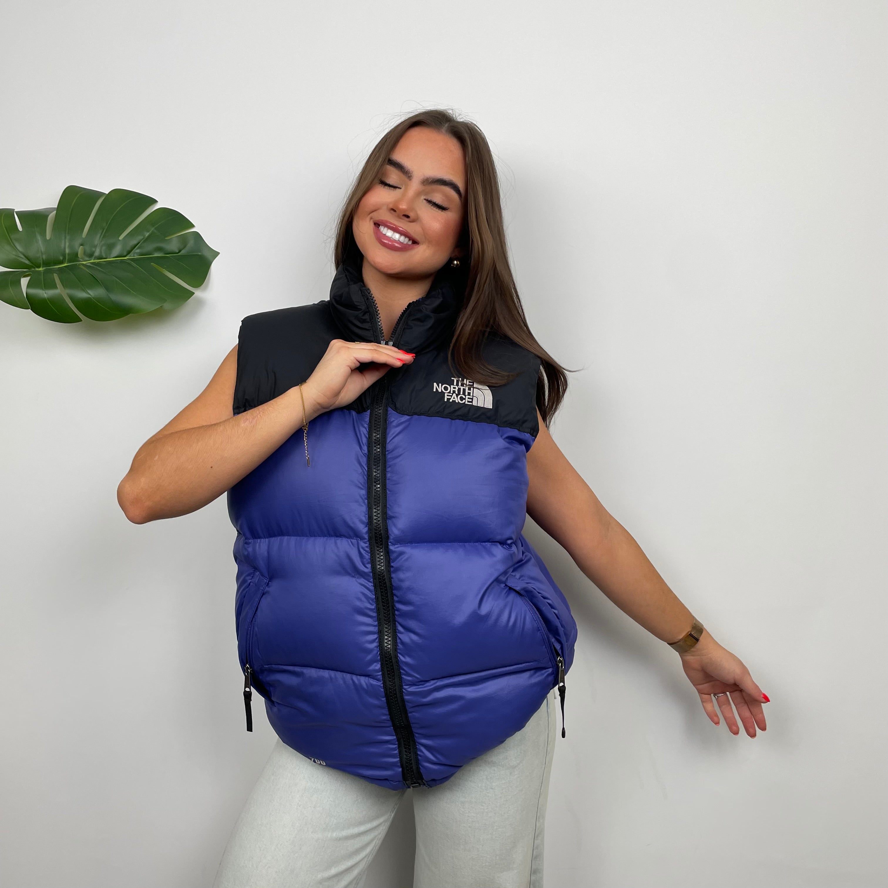 North Face RARE Blue Nuptse 700 Puffer Gilet (M)