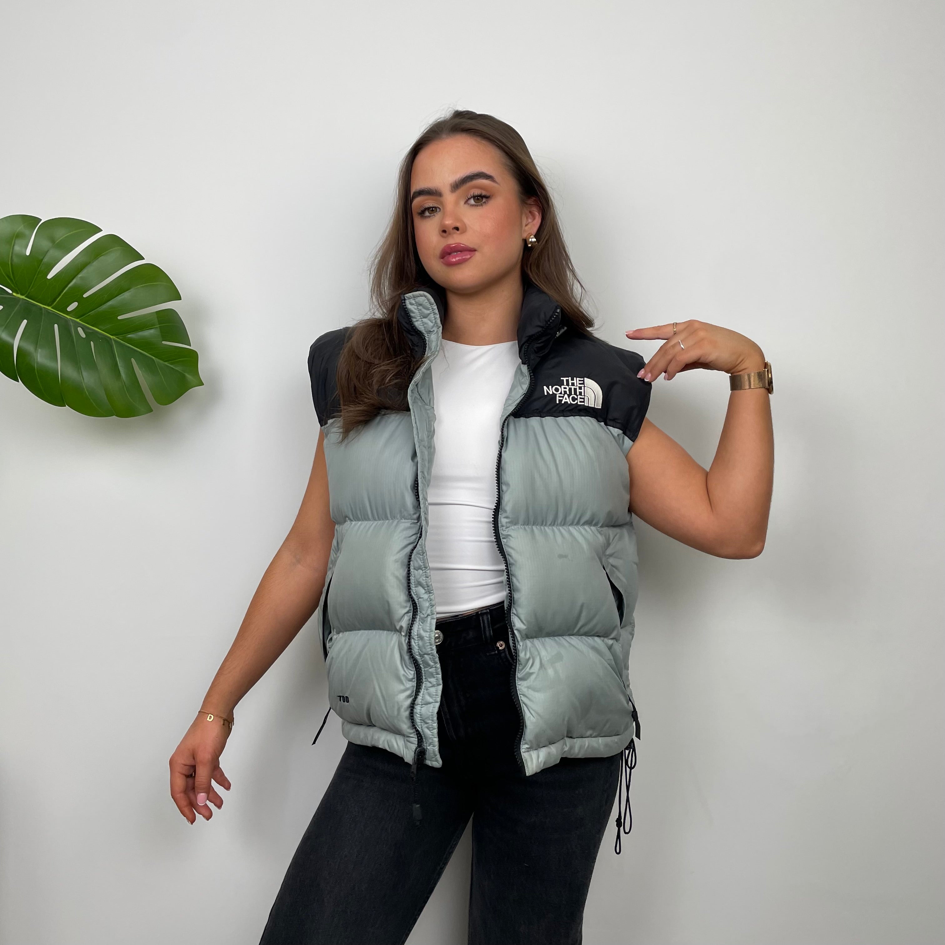 The North Face Grey Nuptse 700 Puffer Gilet (S)