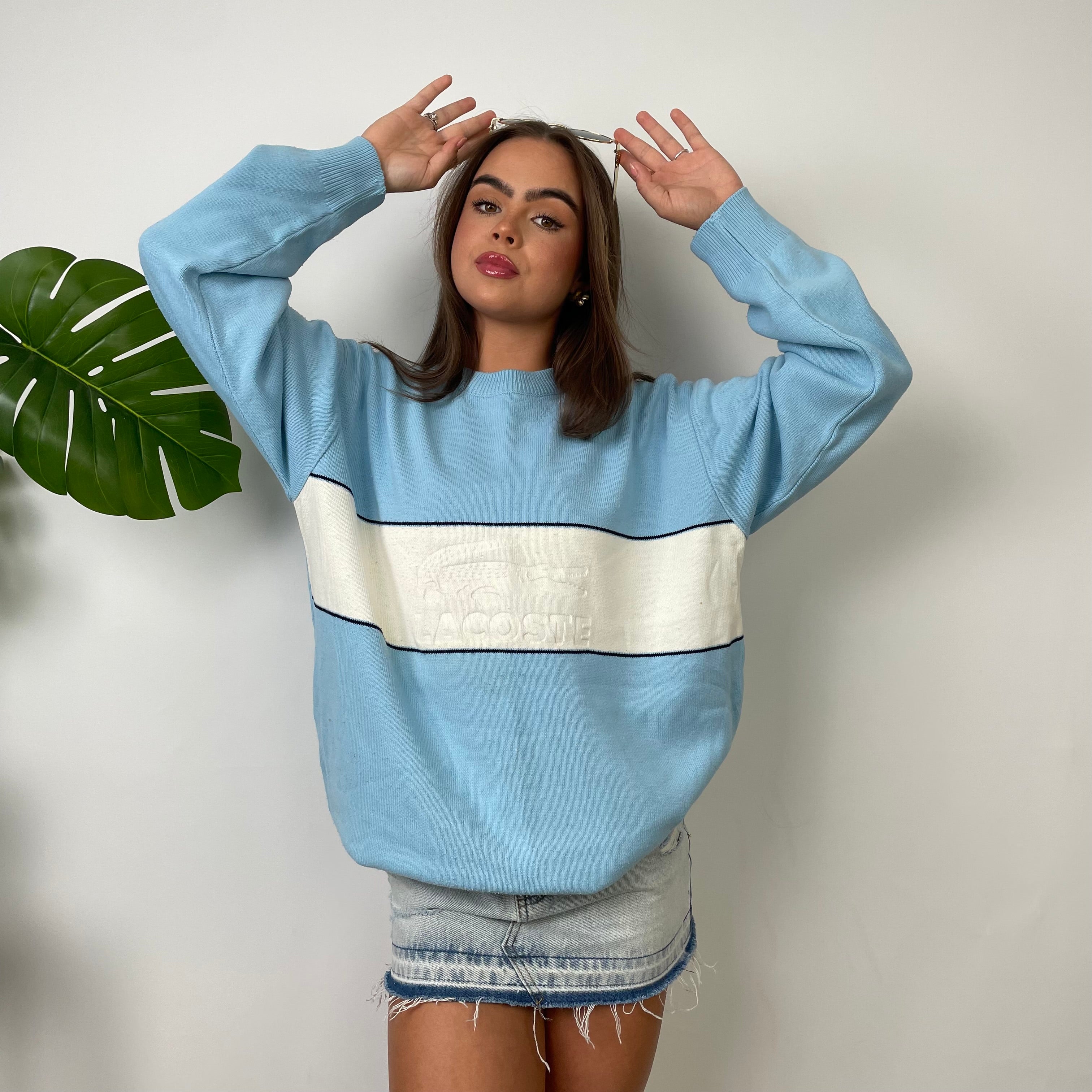 Lacoste Baby Blue Embroidered Logo Knitted Sweater (L)